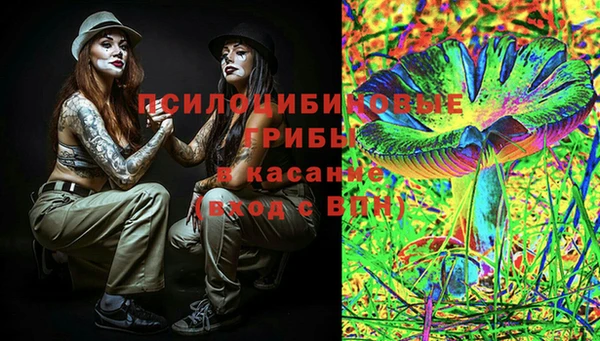 марки lsd Богданович